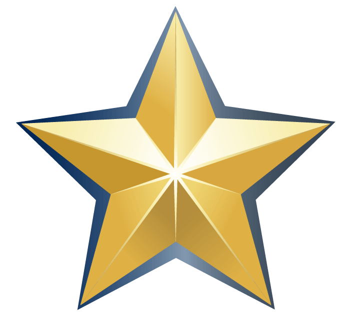 Blue and Gold Star Logo - Something New – Gold Star Momma