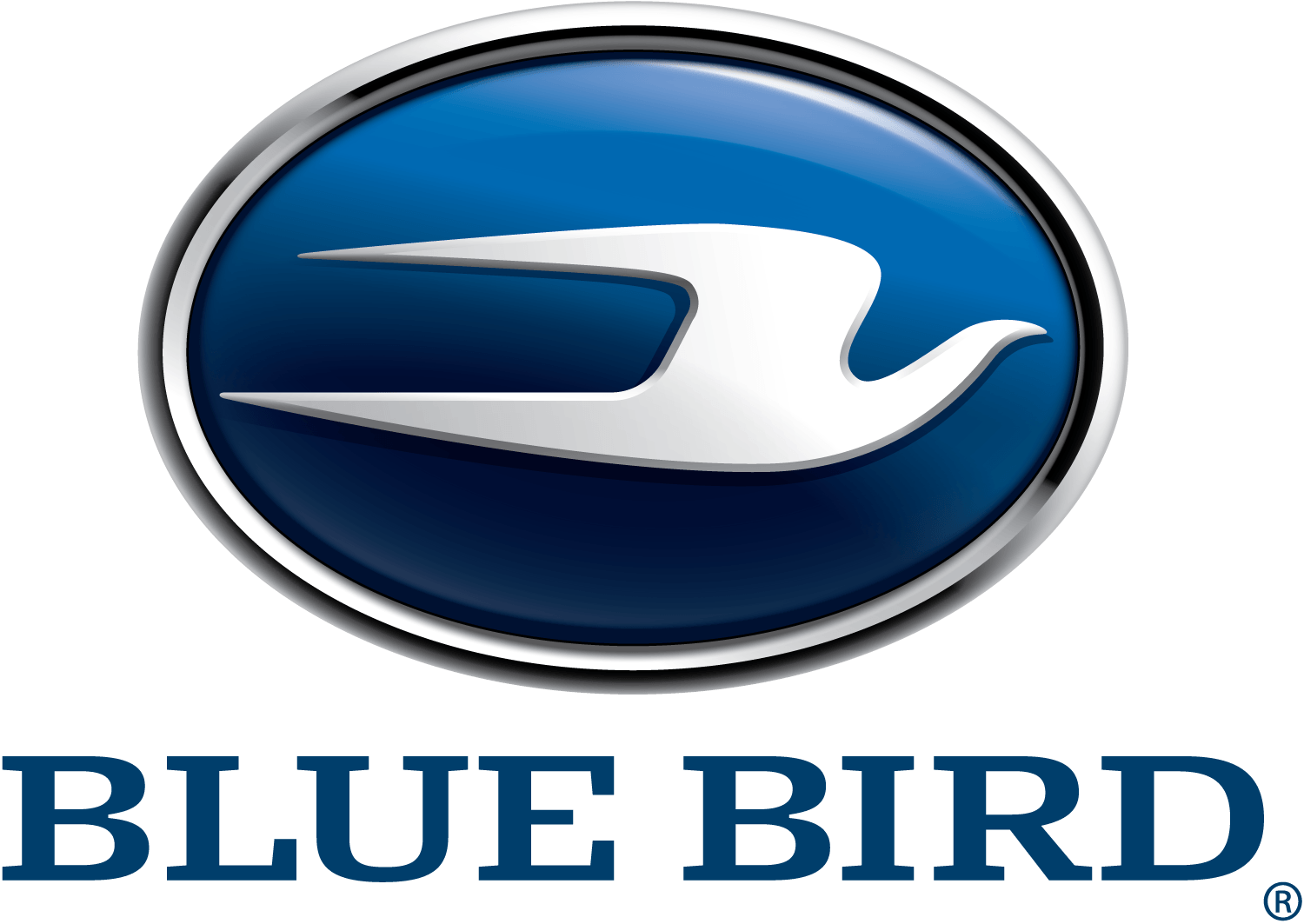 Bluebird School Bus Logo