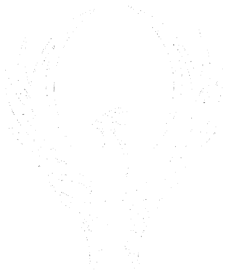White Phoenix Logo - Phoenix Farm - Jackson, TN