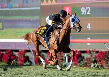 Horse Flying B Logo - Flying Scotsman Dominates Cecil B. DeMille Stakes - BloodHorse
