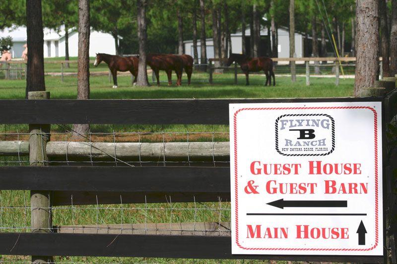 Horse Flying B Logo - Flying B Ranch and Horse Motel. Flying B Ranch and Horse Motel