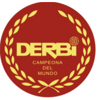 Derbi Logo - Derbi. Brands of the World™. Download vector logos and logotypes