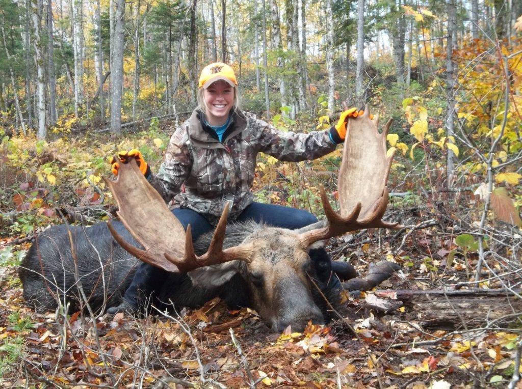 Maine Moose Logo - Maine moose hunt kicks off Monday | Out There