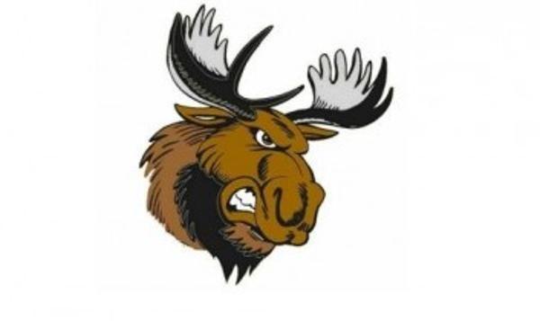 Maine Moose Logo - Moose 18U FS