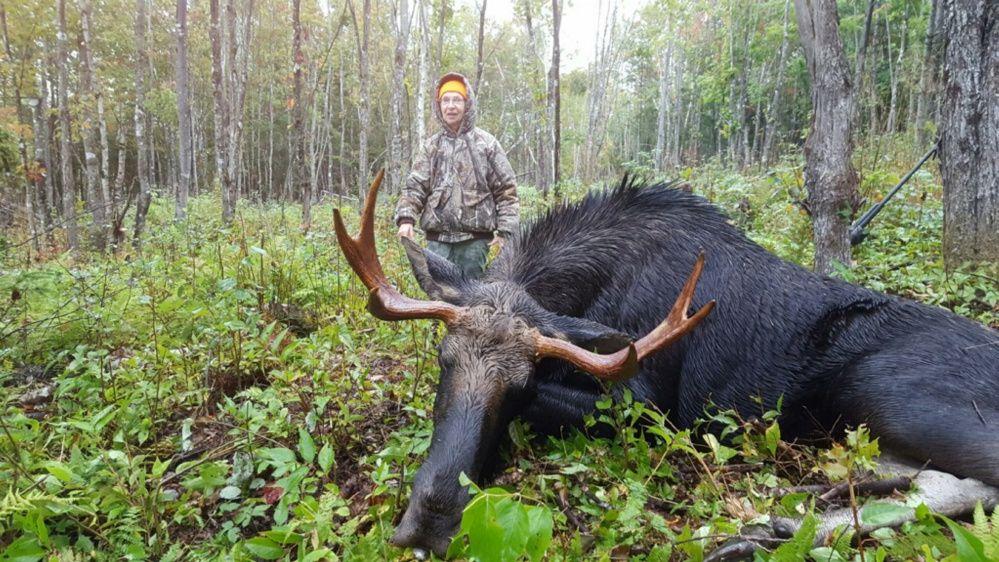 Maine Moose Logo - This year, fewer hunters, fewer moose - Portland Press Herald