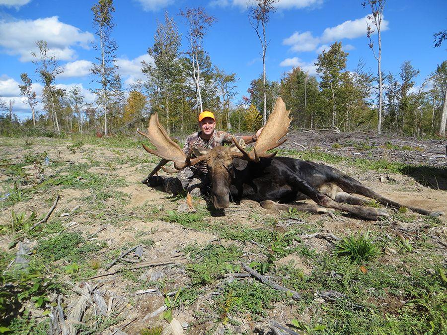 Maine Moose Logo - Maine Moose Hunts Guide Service - Maine Hunting - A Cabela's World's ...