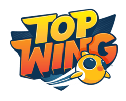 Orange Wing Logo - Top Wing