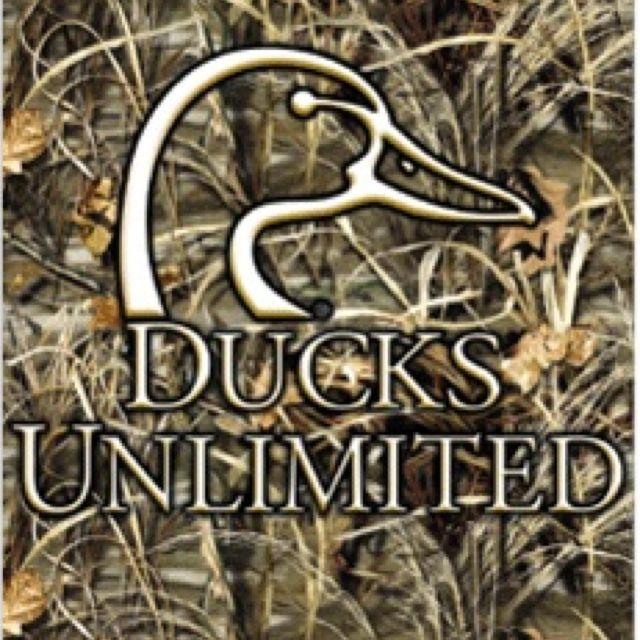 Camo Hunting Logo - Duck Hunting Supplies and Retriever Training Gear.. Can you