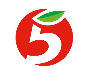 Retail Chain Logo - X5 Retail Group