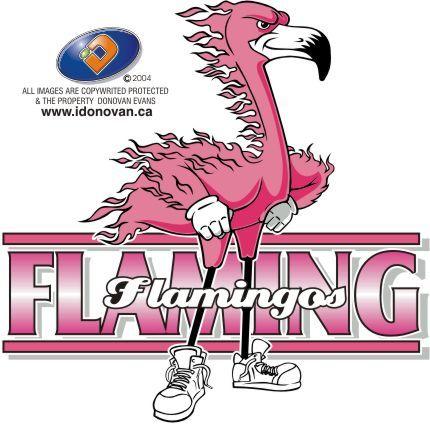 Flamingo Sports Logo - sport logos flamingo - Google Search | Graphic Design Sports Logo ...
