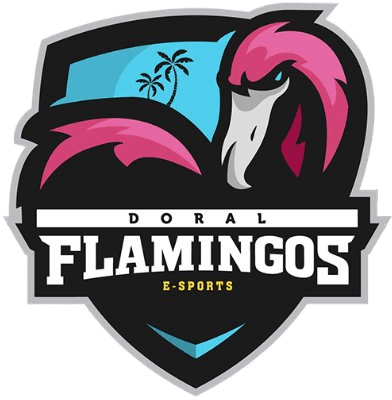Flamingo Sports Logo - Doral Flamingos E Sports Counter Strike