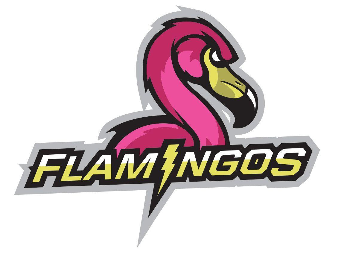 Flamingo Sports Logo - This is what we'd call the Las Vegas team. Logos & Icon. Logos