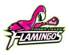 Flamingo Sports Logo - Best Flamingos image. Flamingo, Flamingos, Advertising
