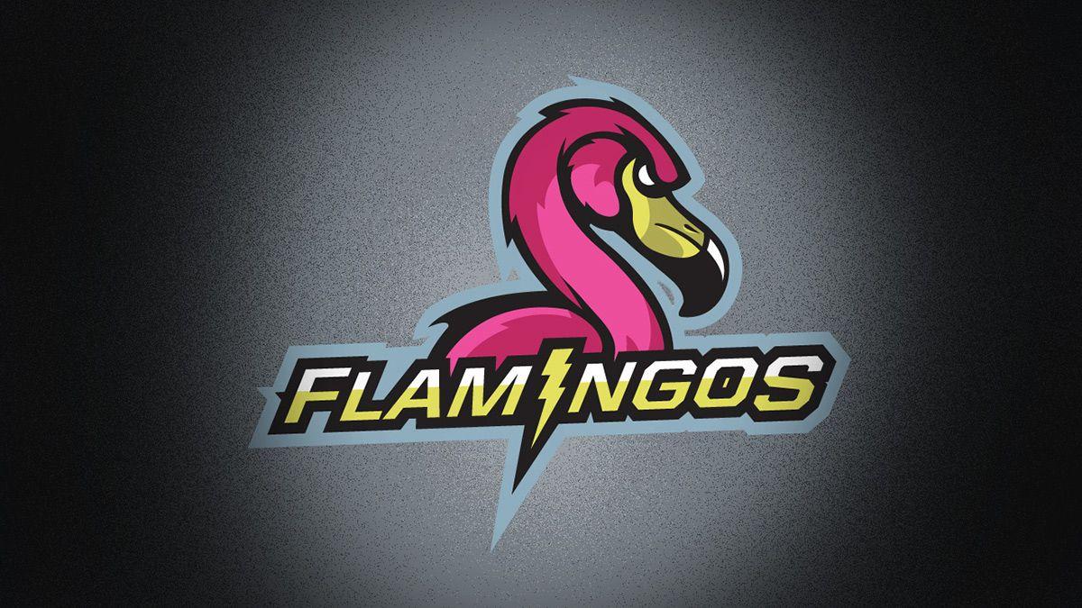Flamingo Sports Logo - Flamingo Sports Logo