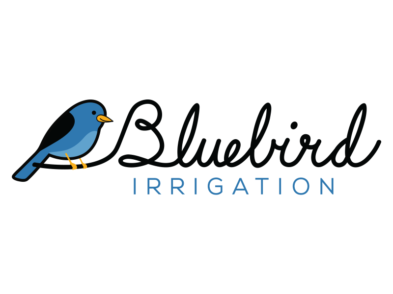 Bluebird Logo - Bluebird logo by jeff youngblood | Dribbble | Dribbble