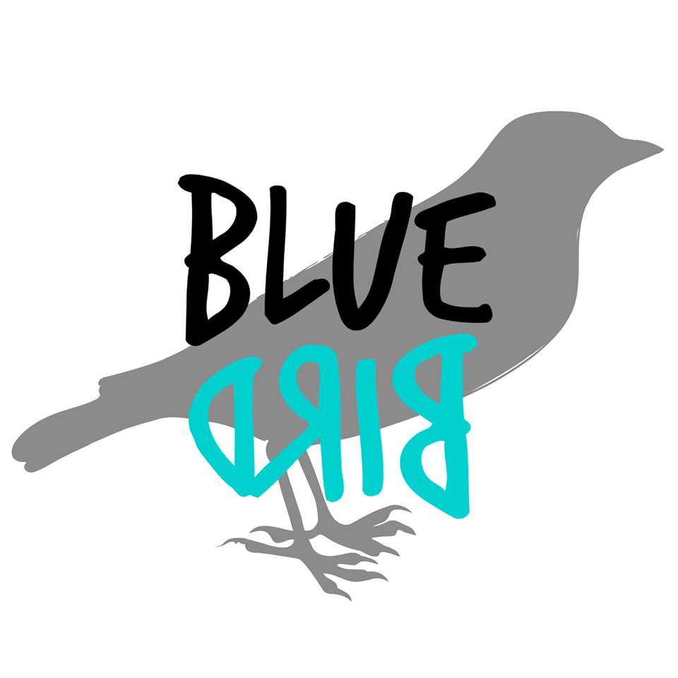 Bluebird Logo - Bluebird Logo - Lincoln Cathedral