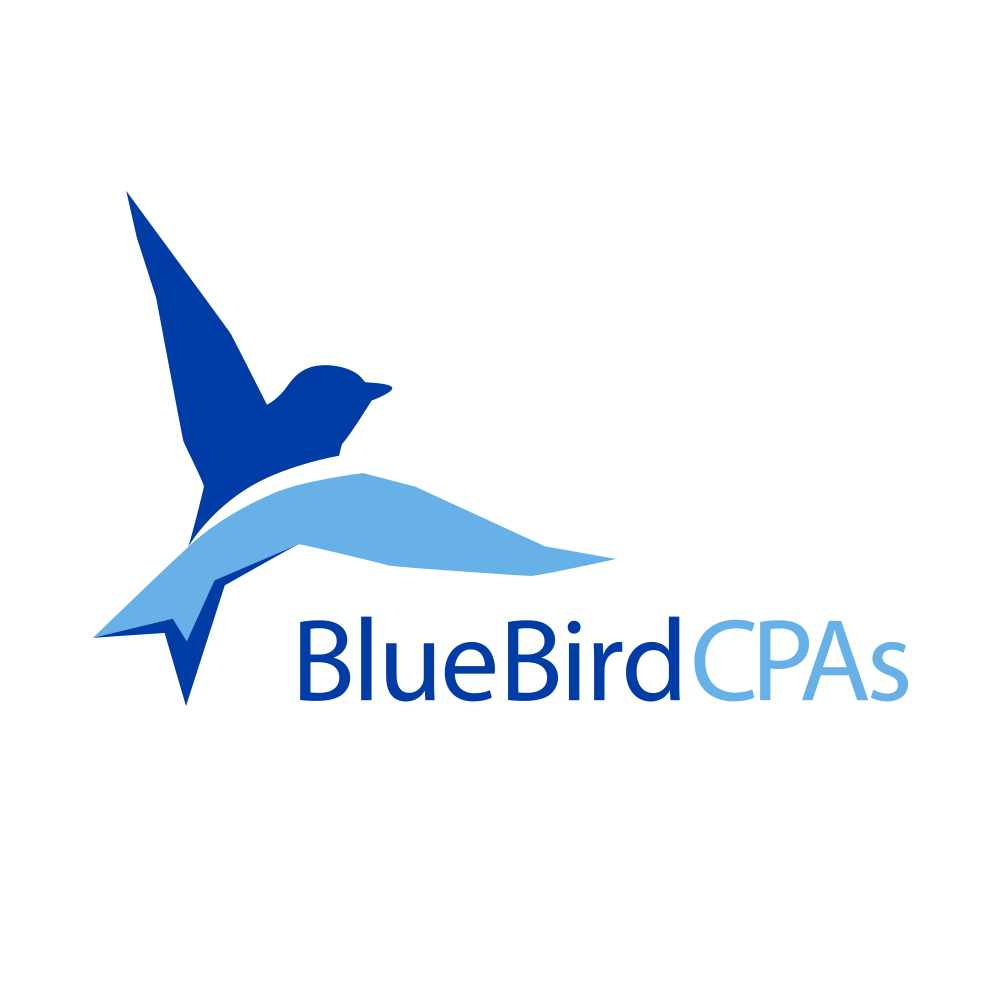 Bluebird Logo - BlueBird CPAs – David Safanda Design Solutions Inc.
