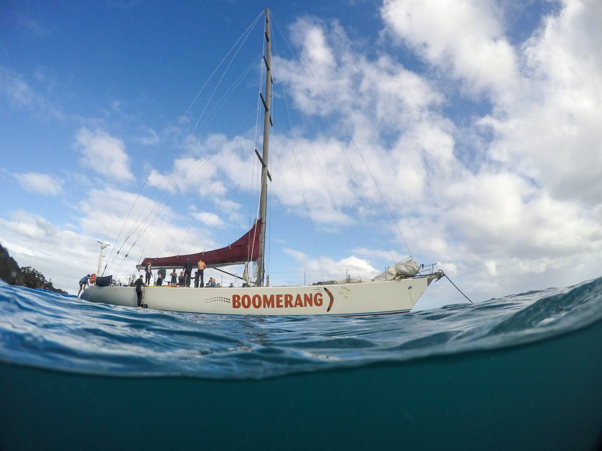 Boomerang Boat Logo - Boomerang: Whitsundays Sailing Adventure 2 days 2 nights