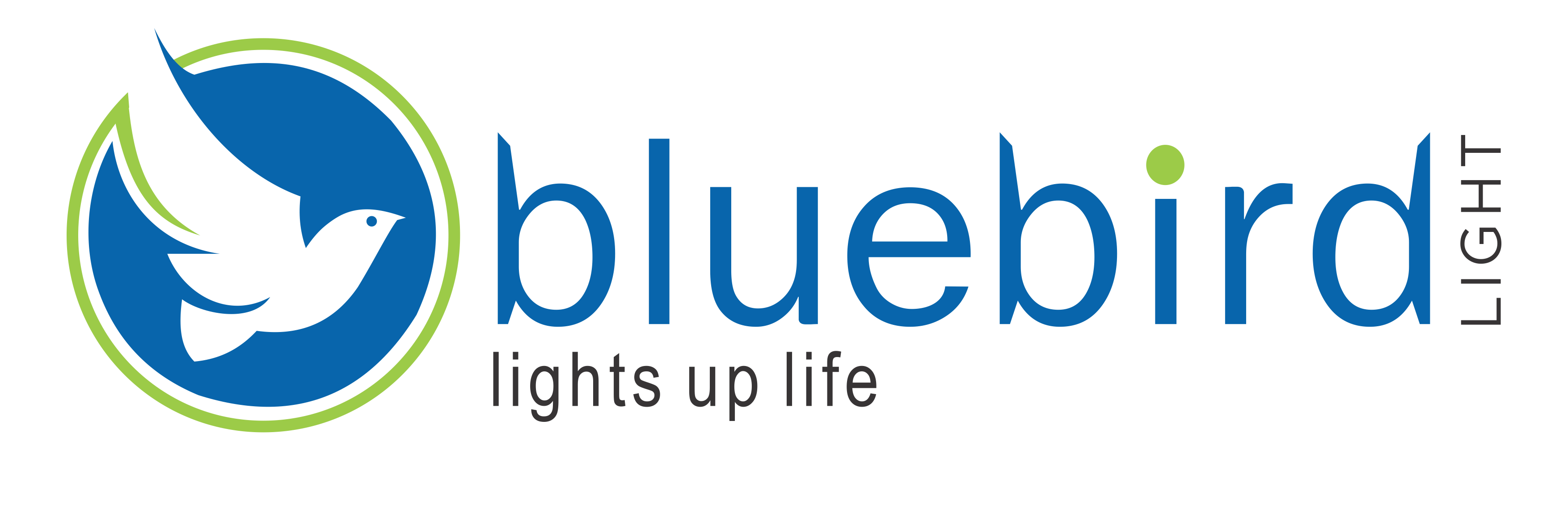 Bluebird Logo - Home | Bluebird Lights