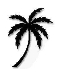 Palm Tree Circle Logo - THE PLUM TREE AND THE PALM TREE