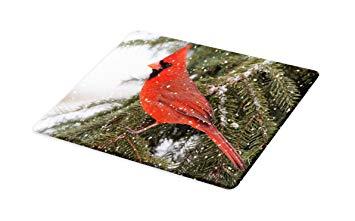 Standing Red Bird Logo - Amazon.com: Lunarable Cardinal Cutting Board, Northern Cardinal Bird ...