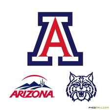 U of a Wildcats Logo - Logo and Branding Identity No. 10: Arizona Wildcats