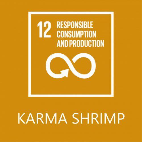 Karma Water Logo - Karma Shrimp - UNLEASH