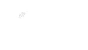 Avis Logo - Rara Avis Rainforest Lodge and Reserve, Costa Rica