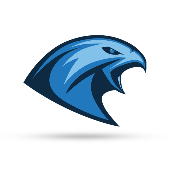 Falcon Team Logo - Tychy Falcons Football Team