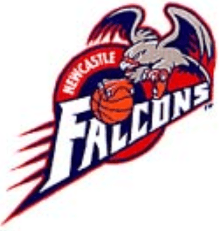 Falcon Team Logo - Newcastle Falcons Primary Logo - NBL Australia (NBL-Aus) - Chris ...
