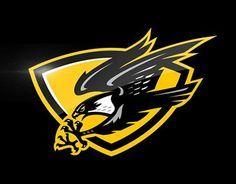 Falcon Team Logo - 109 Best Hawks-Falcons Logos images in 2019 | Falcon logo, Falcons ...