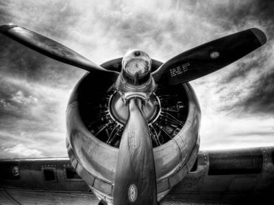 Aircraft Black and White Logo - Affordable Airplane Posters at AllPosters.com