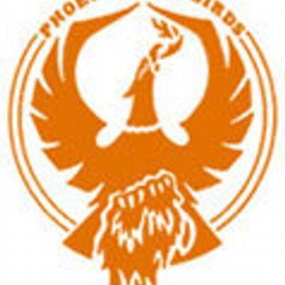 Phoenix Firebird Logo - Phoenix CSD