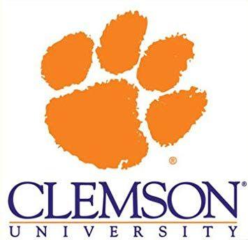 Clemson Logo - Amazon.com: Clemson University Logo ~ Edible Image Cake / Cupcake ...