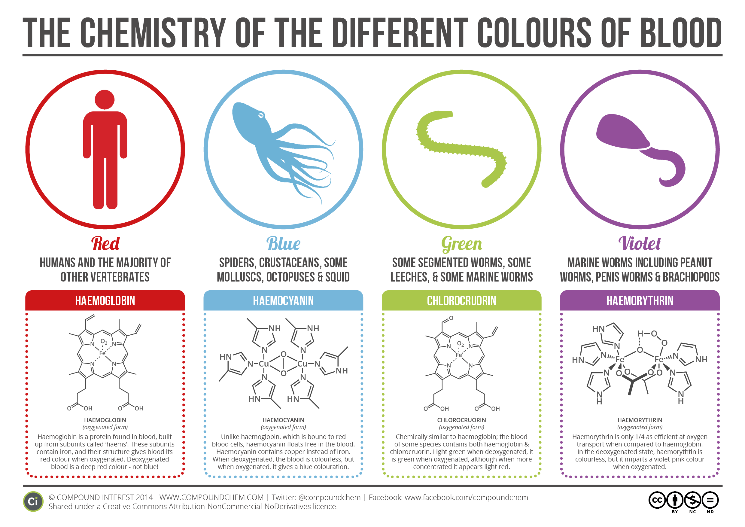 Purple Blue Green Red Logo - The Chemistry of The Colours of Blood