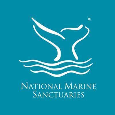 Marine Flower Logo - NOAA's Flower Garden Banks Natl Marine Sanctuary