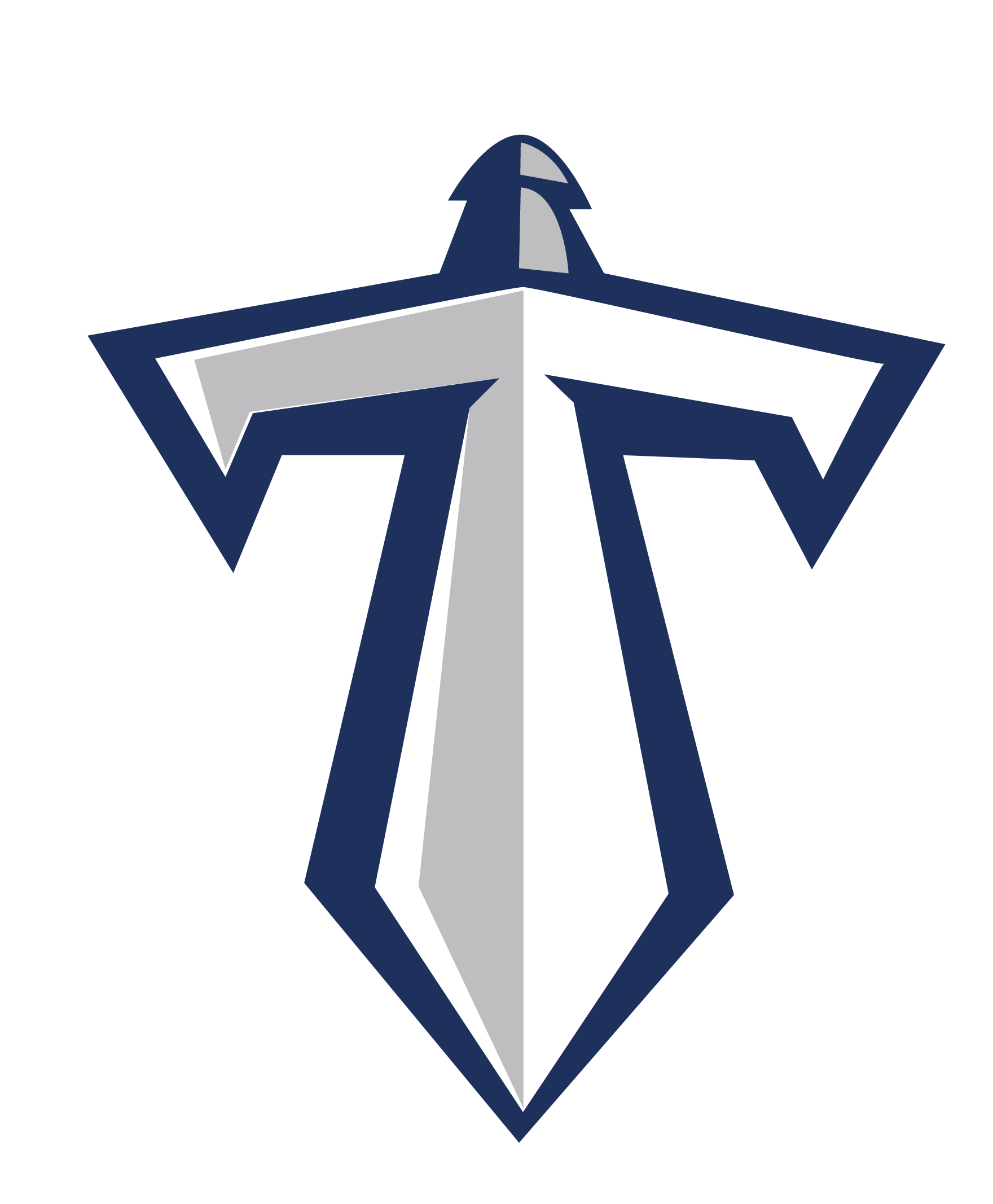 Titans Sword Logo - Picture of Titans Sword Logo