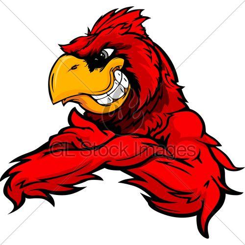 Red Bird Chicken Logo - Cardinal Or Red Bird With Crossed Arms Vector Cartoon · GL Stock Images