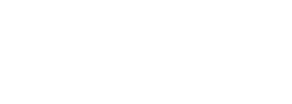 Freight Links Express Logo - FREIGHT LINKS INTERNATIONAL (Pte) Ltd