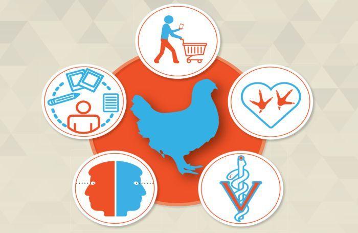 Red Bird Chicken Logo - 5 top trends affecting chicken, egg production | WATTAgNet