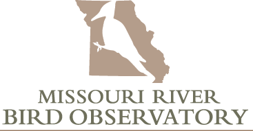 River Bird Logo - Missouri River Bird Observatory