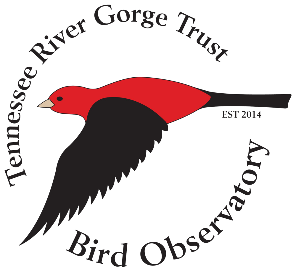 River Bird Logo - Bird Observatory