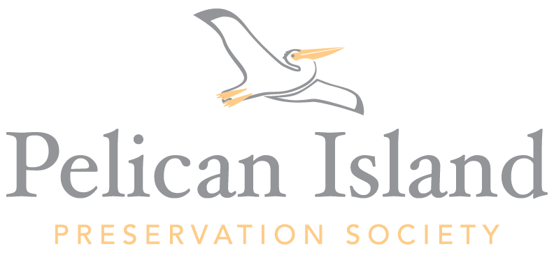 River Bird Logo - INDIAN RIVER BIRD & NATURE ART SHOW — Pelican Island Preservation ...