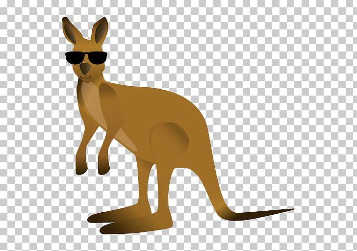 Australia Kangaroo Clip Art Logo - Australia Kangaroo Macropodidae Whiskers, kangaroo PNG clipart ...