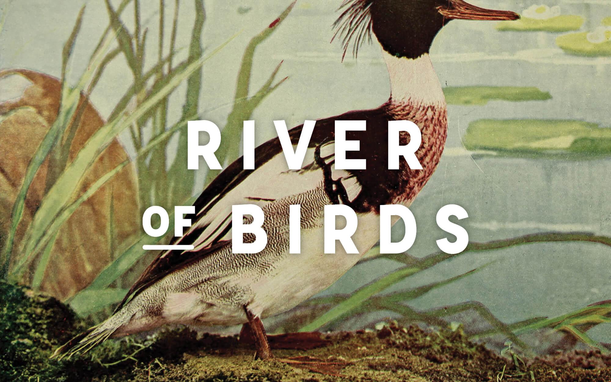 River Bird Logo - River of Birds – Brian Ch. Miller