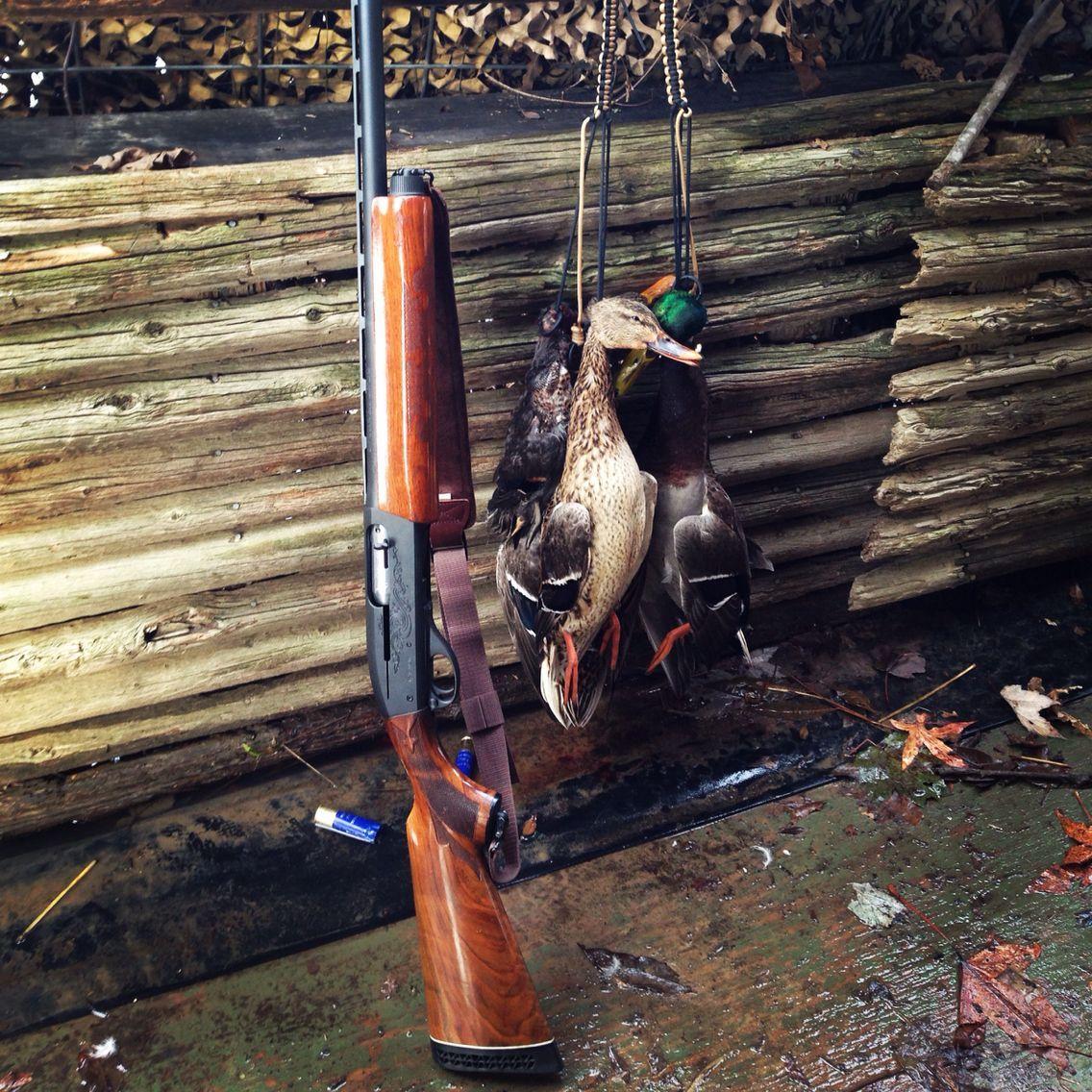 Remington Duck Logo - Remington 1100 magnum duck hunting Arkansas | Duck hunting ...
