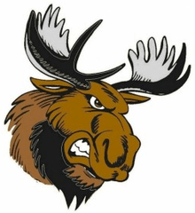 Moose Logo - Maine Moose