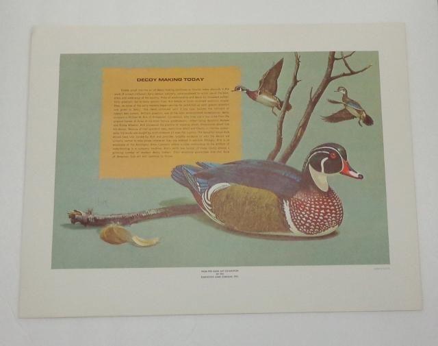 Remington Duck Logo - Remington's Portfolio of American Waterfowl Hunting. Ducks, Geese ...