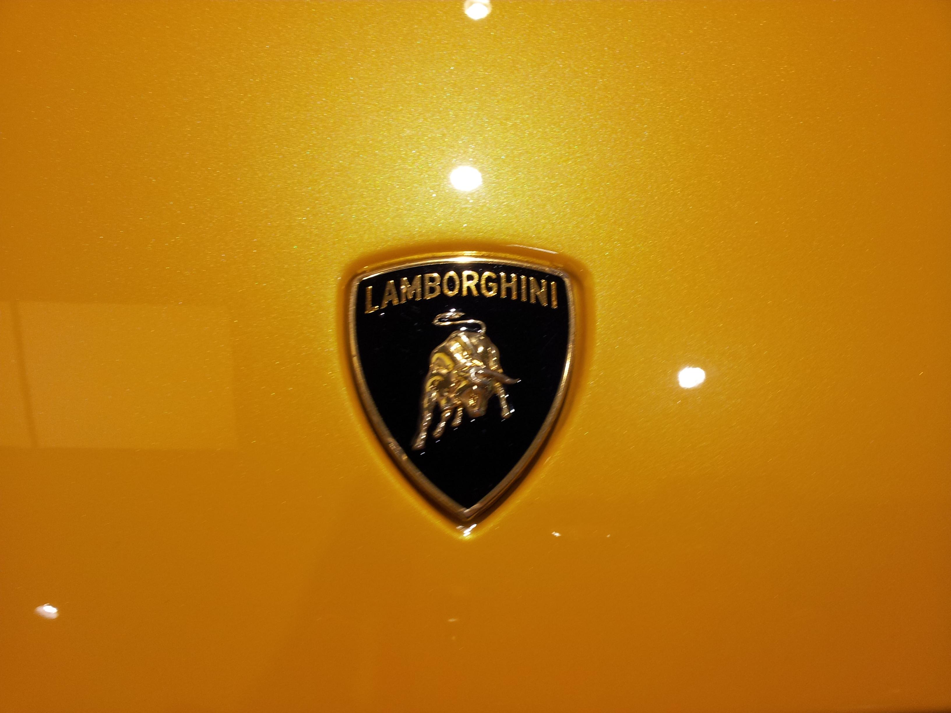 Gold Lambo Logo - Lamborghini Logo Wallpapers - Wallpaper Cave