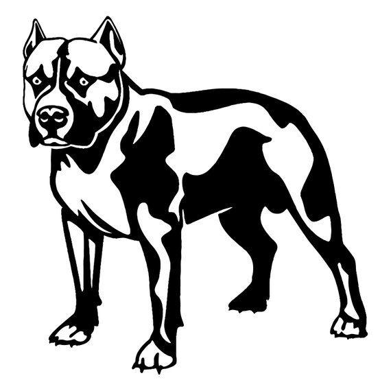 Pitbull Dog Logo - American Pit Bull 4 Pitbull Bully Staffordshire Terrier Pit